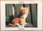 Image of the puzzle 1000, Nathan, A Cuddly Kitten, Complete, Picture of the box