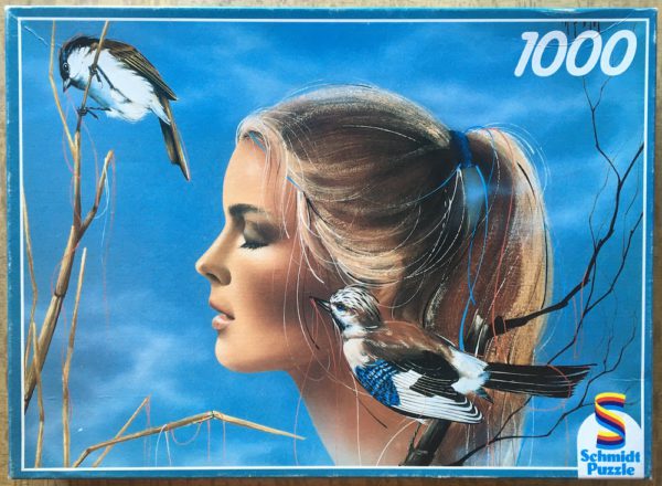 Image of the puzzle 1000, Schmidt, Wishing, by Luc Genot, Complete, Picture of the box