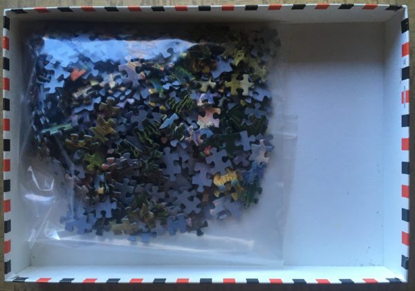 Image of the puzzle 500, Educa, Dinosaur Gathering, Krásný, Complete, Picture of the bag