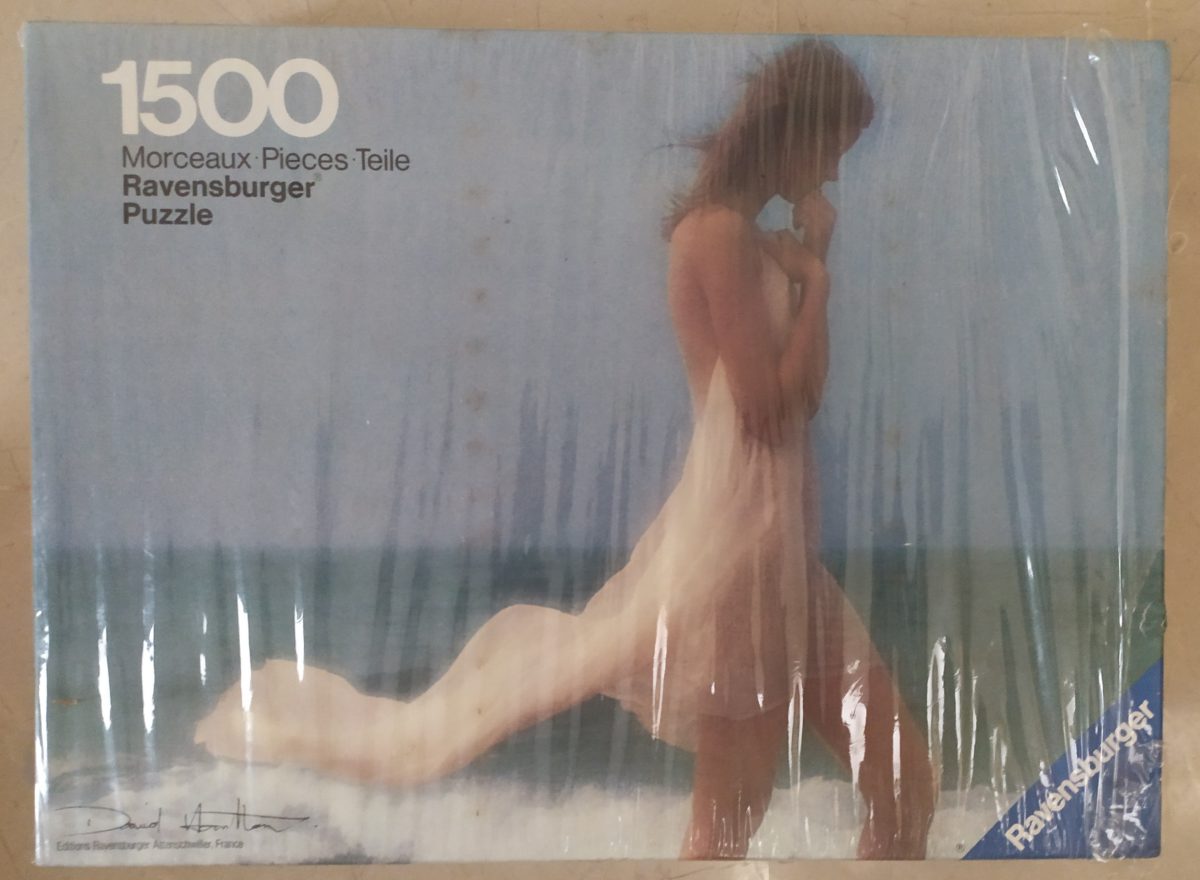 Image of the puzzle 1500, Ravensburger, Wind Games, David Hamilton, Factory Sealed, Picture of the box