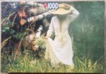 Image of the puzzle 1000, Jumbo, Walk through the Woods, Complete, Picture of the box