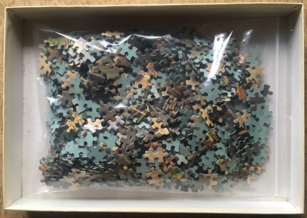 Image of the puzzle 1000, Jumbo, Walk through the Woods, Complete, Picture of the bag
