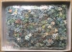 Image of the puzzle 2000, Dujardin, The Garden of Eden, by Claude Varieras, Complete, Picture of the bag