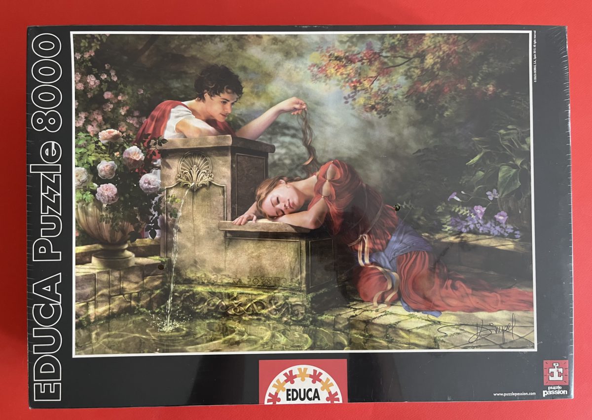 8000, Educa, While She was Sleeping, by Drazenka Kimpel, Factory Sealed, Listed by MPzzl Image of the puzzle 8000, Educa, While She was Sleeping, by Drazenka Kimpel, Factory Sealed, Picture of the box