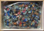 Image of the puzzle 1500, Jumbo, Bird of Paradise, by Enrique Nieto, Complete, Picture of the bag