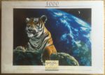Image of the puzzle 1000, Nathan, Only One Home, by Schim Schimmel, Factory Sealed, Picture of the box