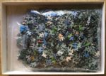 Image of the puzzle 1500, Educa, Japanese Garden, Complete, Picture of the bag