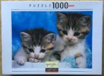 Image of the puzzle 1000, Nathan, Petits Mistigris, Complete, Picture of the box