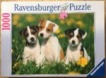 Image of the puzzle 1000, Ravensburger, Jack Russell Puppies, by Sabine Stuewer, Factory Seald, Picture of the box