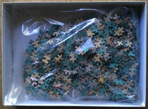 Image of the puzzle 1000, Educa, Sand Castles on the Beach, by Allan R. Banks, Incomplete, Picture of the bag