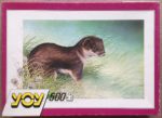 Image of the puzzle 500, Yoy, Weasel, by Alan Baker, Complete, Picture of the box
