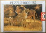 Image of the puzzle 1000, Educa, A Proud Family, by Dino Paravano, Factory Sealed, Picture of the box
