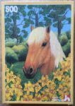 Image of the puzzle 500, Nathan, Horse's Head, by Anthea Lewis, Complete, Picture of the box