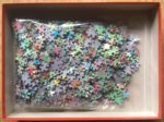 Image of the puzzle 1000, Jumbo, WC Women's Soccer, by Jan van Haasteren, Complete, Picture of the bag