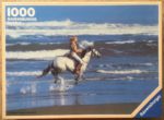 Image of the puzzle 1000, Ravensburger, On Horseback, by Tony Stone, Complete, Picture of the box
