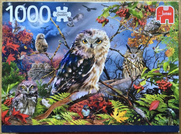 Image of the puzzle 1000, Jumbo, Owls in the Moonlight, Complete, Picture of the box