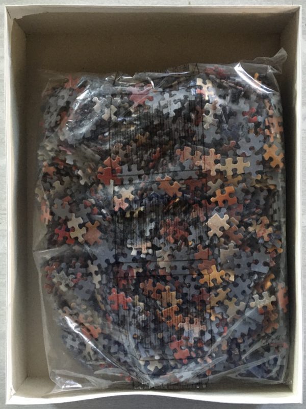 Image of the puzzle 2000, MB, Facing the Sun, by Talantbek Chekirov, Sealed Bag, Picture of the bag