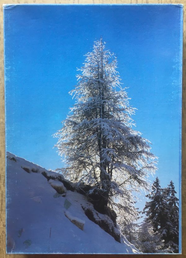 Image of the puzzle 2000, International Team, Neve nel Sole, Sealed Bag, Picture of the box