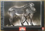 Image of the puzzle 500, Educa, Zebras, by Marina Cano, Factory Sealed, Picture of the box