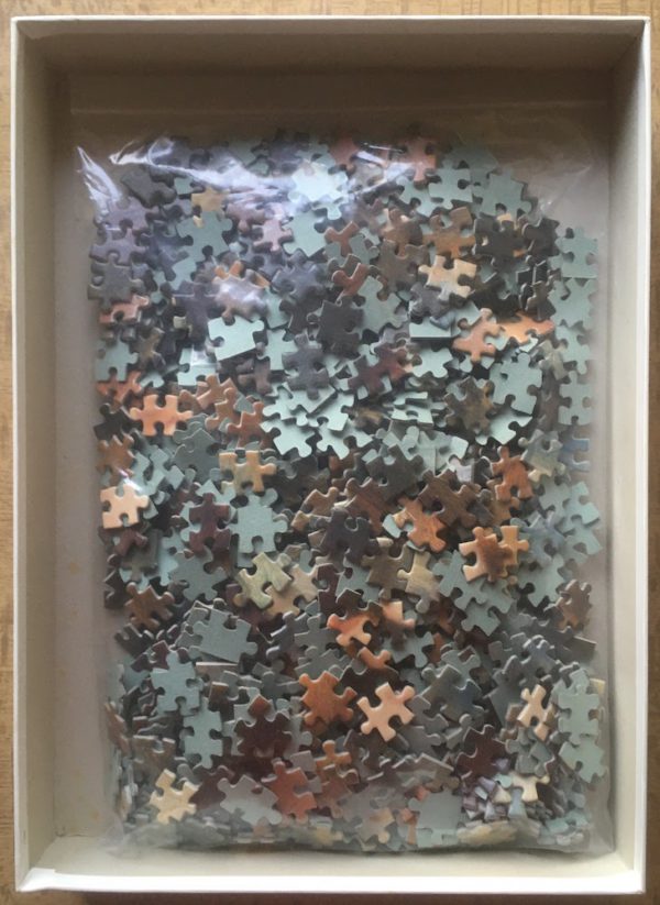 Image of the puzzle 1000, Ravensburger, Portrait of a Girl, by Renoir, Complete, Picture of the bag