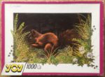 Image of the puzzle 1000, Yoy, Squirrel, Alan Baker, Complete, Picture of the box