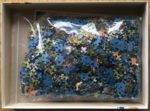 Image of the puzzle 1000, Ravensburger, Flower Hill Lane, by Dominic Davison, Complete, Picture of the bag