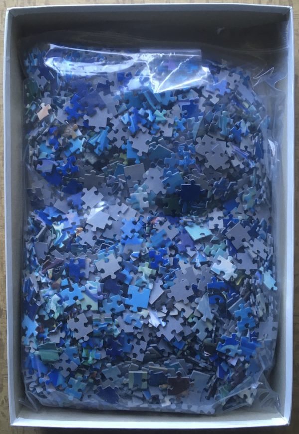 Image of the puzzle IMG_91972000, Trefl, The Queen of the Sea, Chen Wei, Complete, Picture of the bag