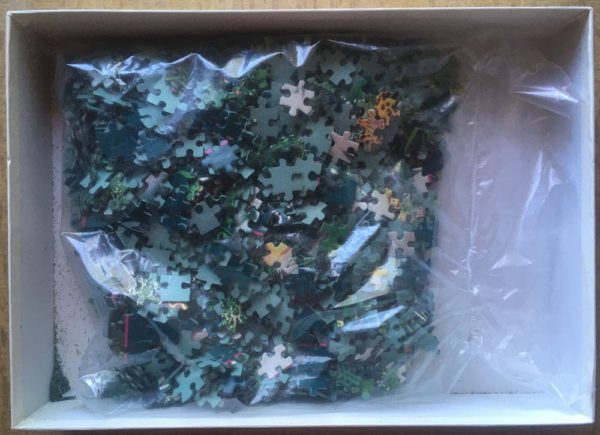 Image of the puzzle 1000, Diset, Rain Forest Woman, by Hiroo Isono, Sealed Bag, Picture of the bag