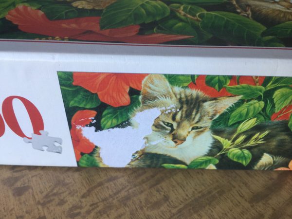 Image of the puzzle 1000, Schmidt, Feline Family, by Lesley Anne Ivory, Complete, Detail of the box
