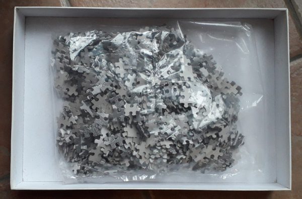 Image of the puzzle Image of the puzzle 1000, Selegiochi, Concave and Convex, by Maurits Cornelis Escher, Sealed Bag, Picture of the bag