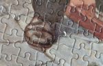 Image of the puzzle 1000, Jumbo, Daylight Robbery, by David Wormersley, Complete, Picture of a detail of the puzzle