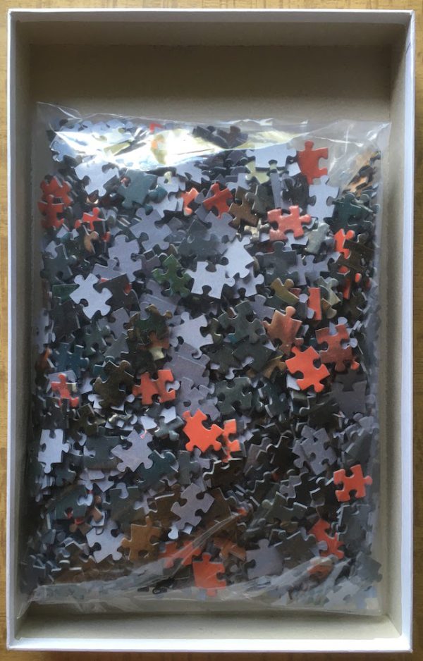 Image of the puzzle 1000, Grafika, 1000, Grafika, Portrait of Marie Gabrielle de Gramont, Duchesse de Caderousse, by by Élisabeth Vigée Le Brun, Complete, Picture of the bag