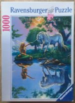 Image of the puzzle 1000, Ravensburger, Magical Encounter, by Jim Warren, Complete, Picture of the box