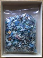 Image of the puzzle 1000, Ravensburger, Magical Encounter, by Jim Warren, Complete, Picture of the bag
