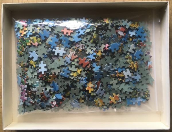 Image of the puzzle IMG_80501000, Pelikan, Naïve Art 1, Francesco Maiolo, Complete, Picture of the bag