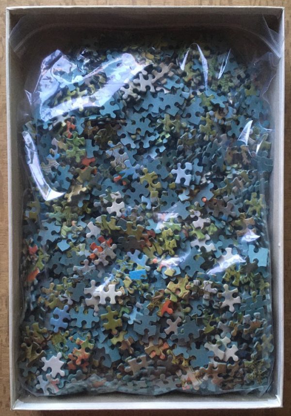 Image of the puzzle 1500, WHSmith, Amazon Rain Forest, by Peter Le Vasseur, Complete, Picture of the bag