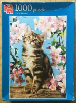 Image of the puzzle 1000, Jumbo, Cat in Blossom, Sealed Bag, Picture of the box