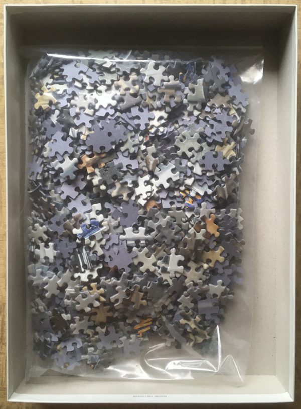 Image of the puzzle 1000, Schmidt, Forever Young, by Renato Casaro, Complete, Picture of the bag