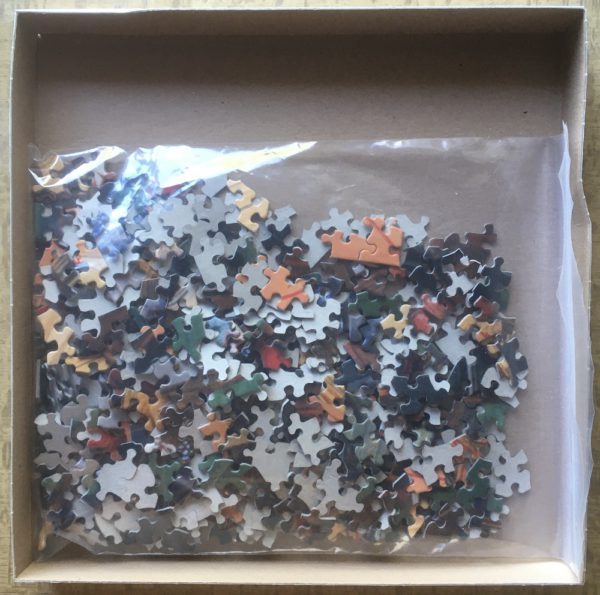 Image of the puzzle 550, SunsOut, No Privacy, Les Ray, Complete, Picture of the bag