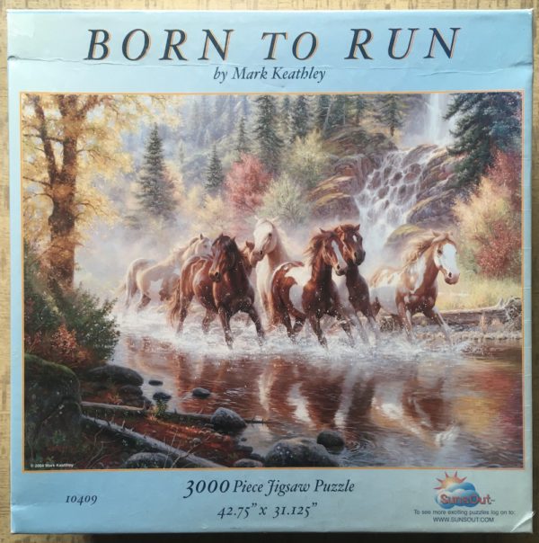 Image of the puzzle 3000, SunsOut, Born to Run, Mark Keathley, Factory Sealed, Picture of the box