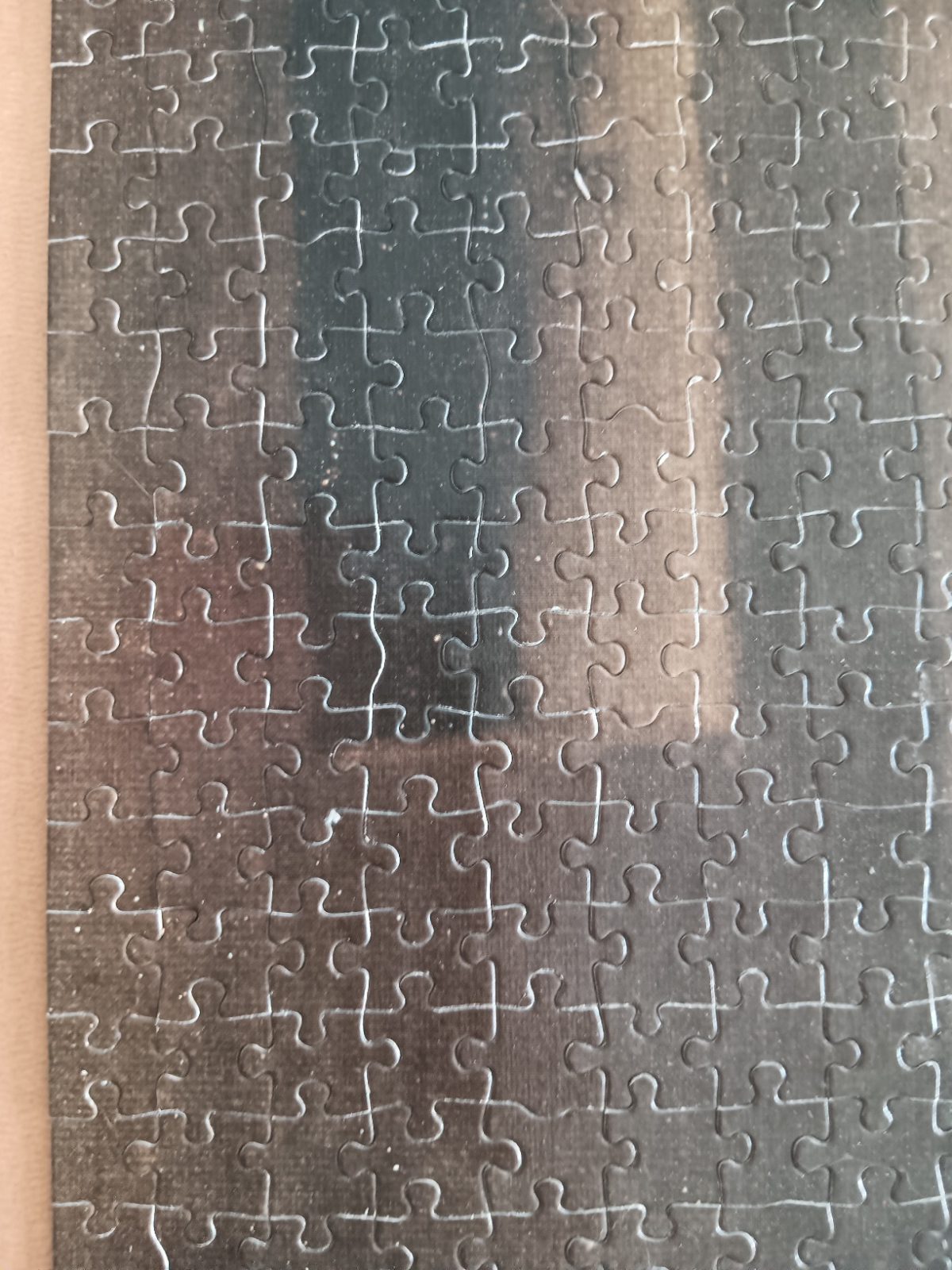 Image of the puzzle 1000, Skala, Boy with Dog, by Gerard Ter Borch, Complete, Picture of a detail of the puzzle