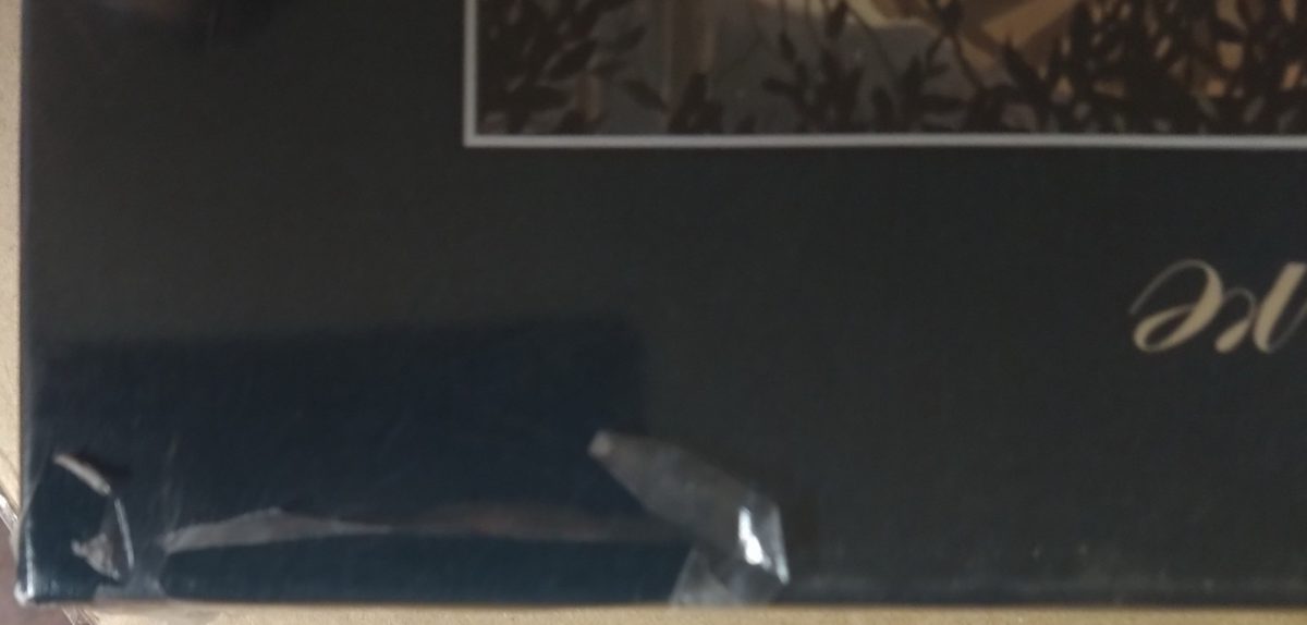 Image of the puzzle 1000, Schmidt, Dream Sequence, by Delamare, Factory Sealed, Picture of the Seal