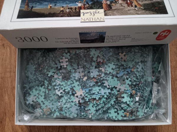 Image of the puzzle 3000, Nathan, The Fleet's Arrival in the Islands, by Alaux, Sealed Bag, Picture of the Box