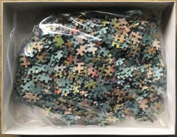 Image of the puzzle 1500, MB, La Rivière, by Raoul Dufy, Complete, Picture of the bag