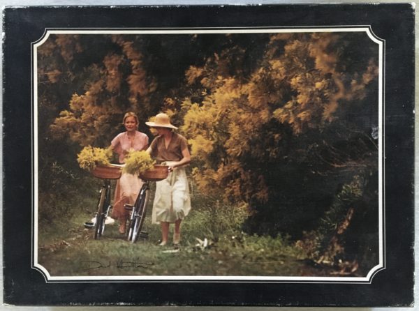 Image of the puzzle 816, Ravensburger, Woodland Path, David Hamilton, Complete, Picture of the box