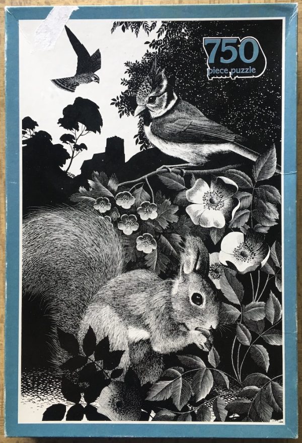 Image of the puzzle 750, Arrow, Red Squirrel & Crested Tit, by William Geldart, Complete, Picture of the box