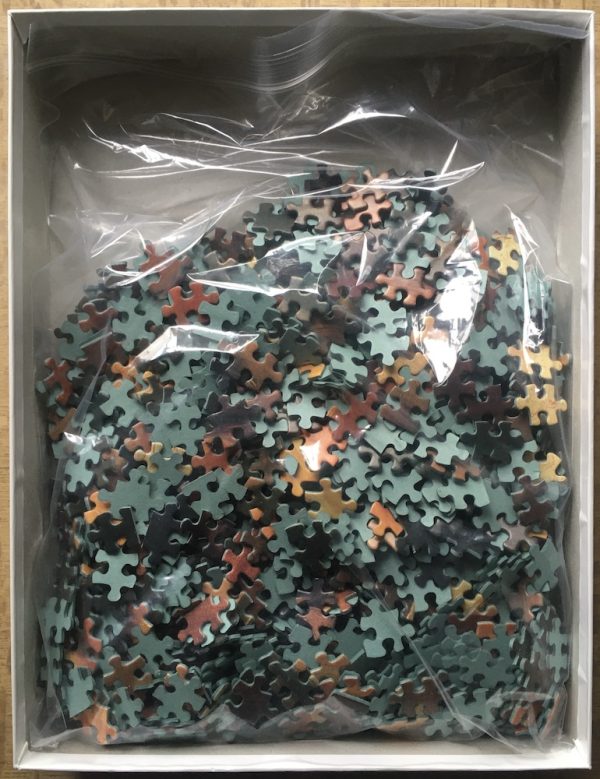 Image of the puzzle 1000, MB, Young Girl Reading, by Jean-Honoré Fragonard, Complete, Picture of the bag