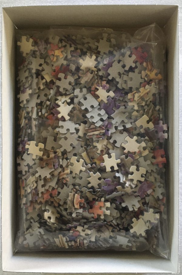 Image of the puzzle 1000, PTZ, Flower Fairies, The Polyanthus and Grape Hyacinth Fairies, by Cicely Mary Barker, Complete, Picture of the bag